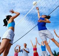 beer green volley.jpg beer green volley.jpg